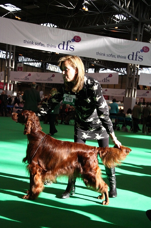 Crufts2011 093.jpg